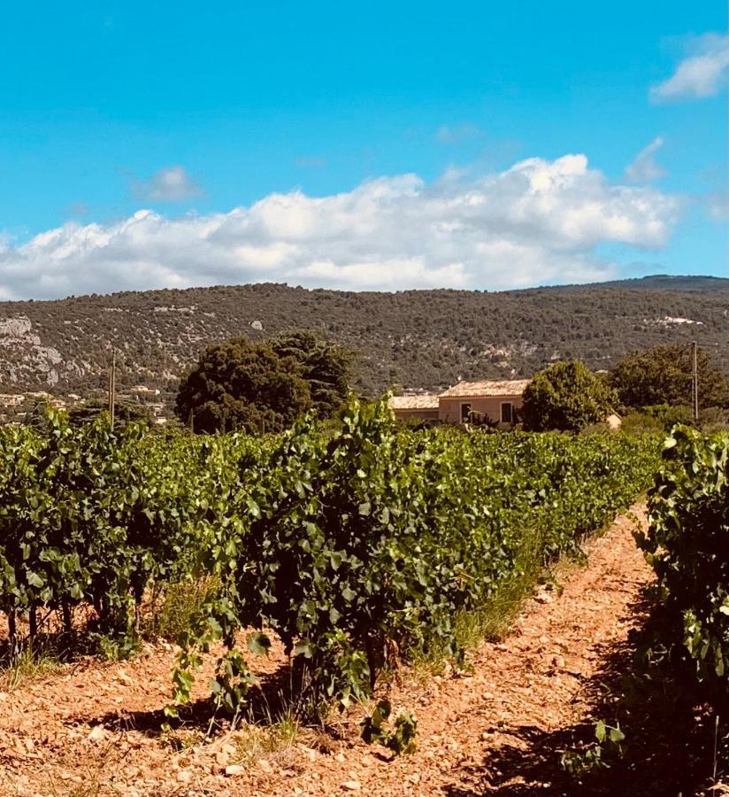 Le Vieux Portail Bed and Breakfast Saint-Saturnin-d'Apt Eksteriør billede